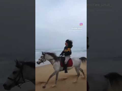 Sahilde dörtnala at bindim 🏇🏽#at #atvideo #dörtnala #horse #horseriding #horses