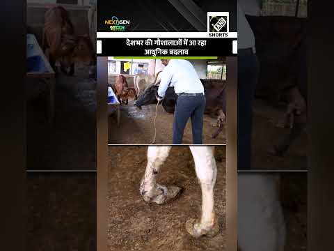 देशभर की गौशालाओं में आ रहा आधुनिक बदलाव #NextGenBharat