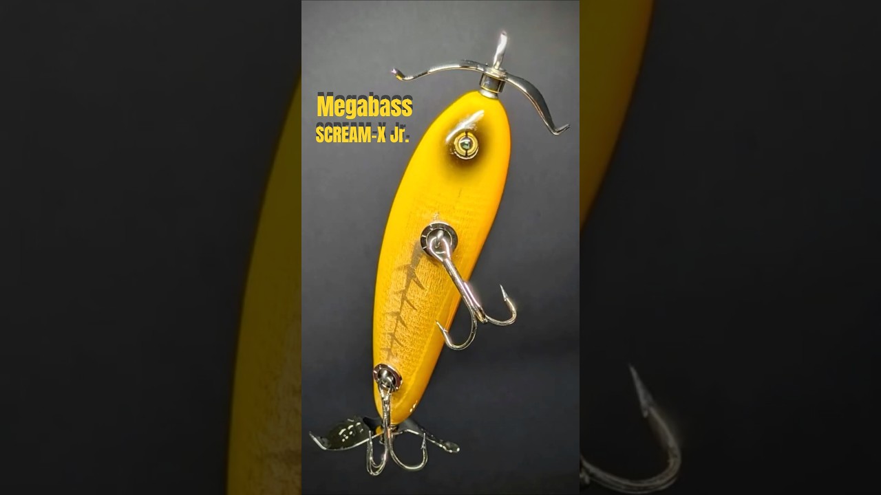 Relaxing Holiday] Admiring the Megabass SCREAM-X Jr.｜JDM Tackle