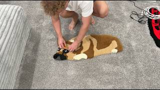 making a rug of my parent's dog