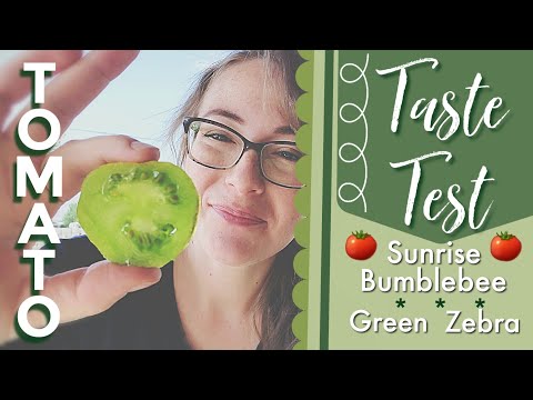 What Does A Green Zebra Tomato Taste Like