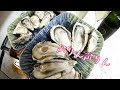 お手軽冷凍牡蠣♪兵庫県室津産をパッカーンするよ！