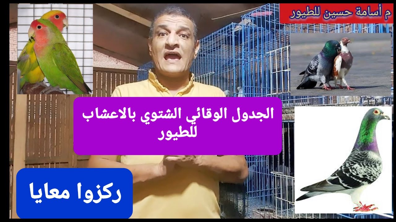 بتحب تستخدم الأعشاب للطيور؟لازم تشوف الجدول الوقائي الشتوي بالأعشاب للطيور والحمام #م_أسامة_حسين