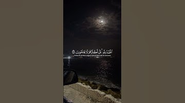 #سورة_الزمر | ولقد ضربنا للناس في هذا القرآن من كل مثل ﴾ #ياسر_الدوسري #حالات_واتس#قرآن