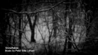 Snowflakes [ Music Video / Panasonic GH4 & 12-35mm/f2.8 Slow Motion Test Footage ]