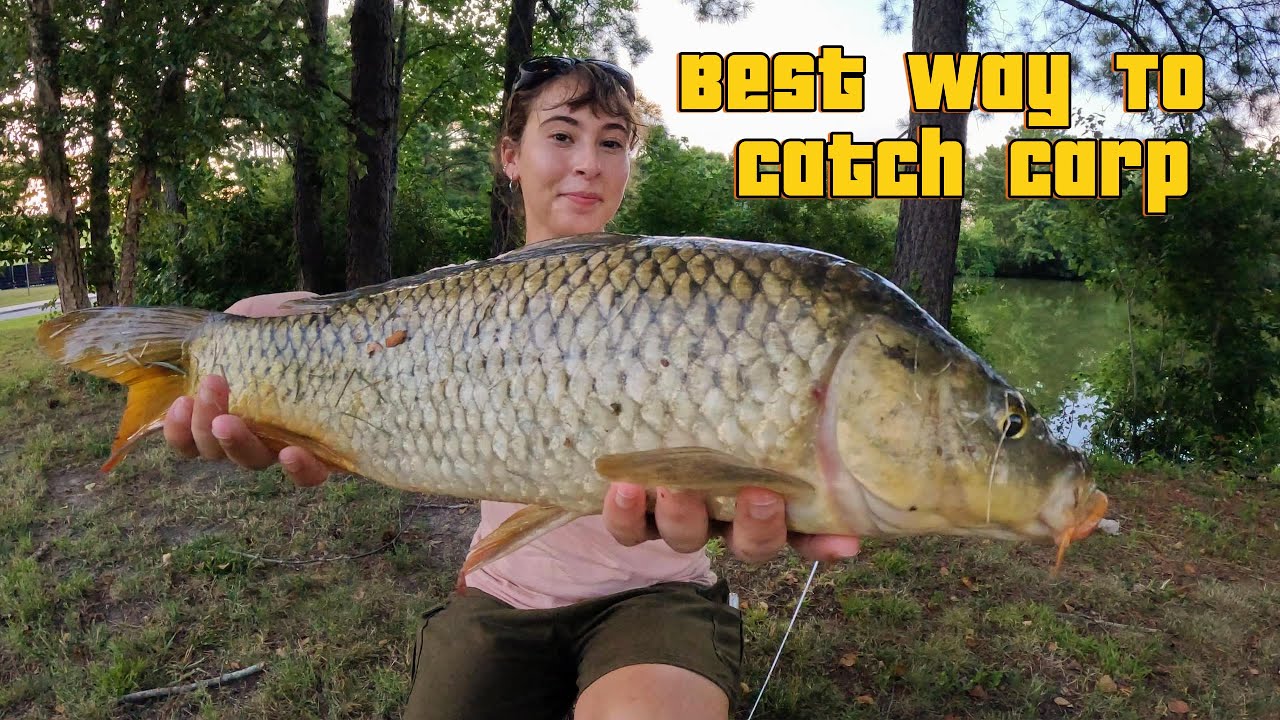 Chumming For Underrated Freshwater Fish! - YouTube