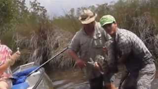 Latest Florida fad -- python wrestling Profile