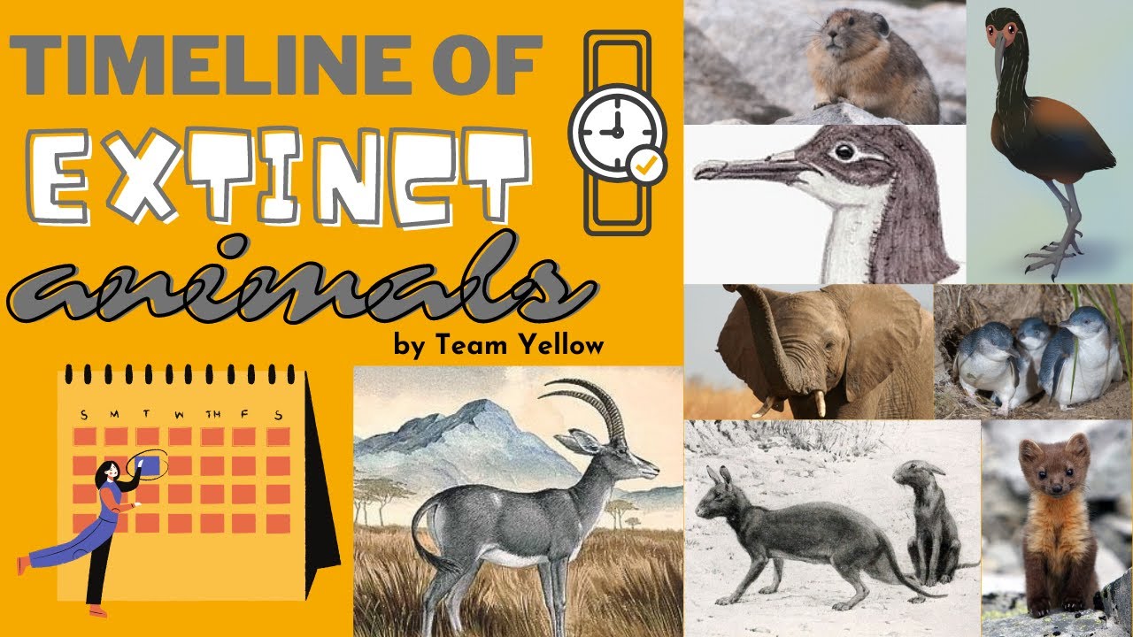 Extinct animals timeline