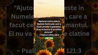 Domnul este ajutorul tau zilnic #biblia #credinta #crestinism