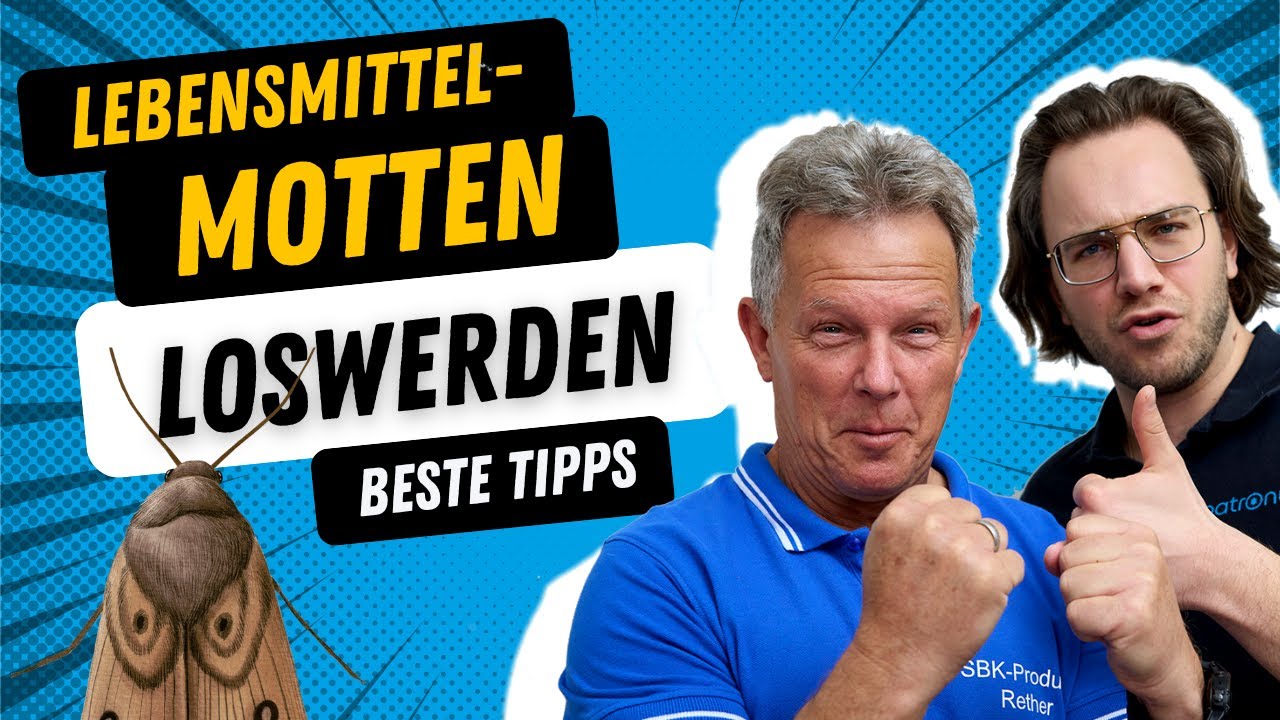 Lebensmittel-Motten bekämpfen & loswerden – alles, was du JETZT wissen musst 👈🆘