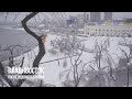 Владивосток после ледяного шторма 2020 / Vladivostok After The 2020 Ice Storm
