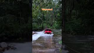 Wayanad Kerala Travel Guide 2026 😍 Most Beautiful Hill Station in Kerala