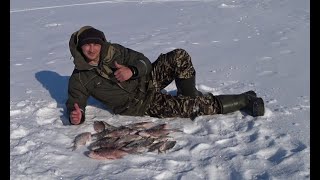 Я в ШОКЕ ! Золотые ЛУНКИ ! Зимняя рыбалка с ночевкой в палатке ! Супер Рыбалка !