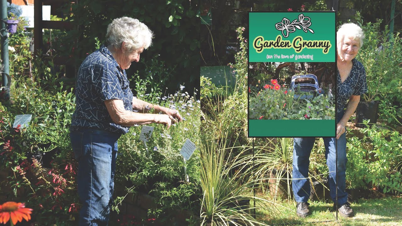 Garden Granny Episode 2 Choosing Plants For Your Garden YouTube garden-granny-episode-2-choosing-plants-for-your-garden-youtube