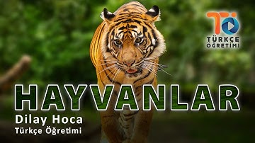 Hayvanlar-Yabancılar İçin Türkçe Öğretimi