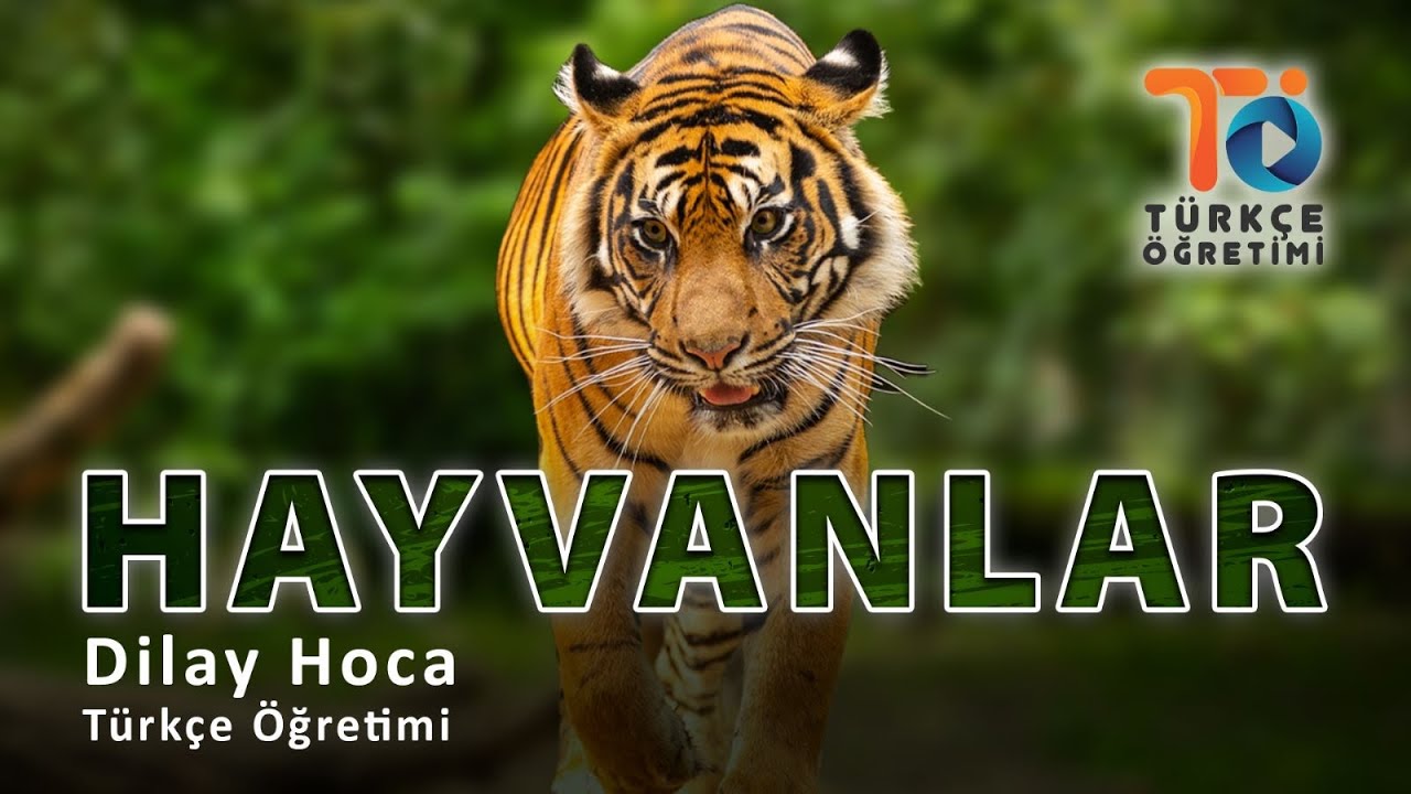 Hayvanlar-Yabancılar İçin Türkçe Öğretimi