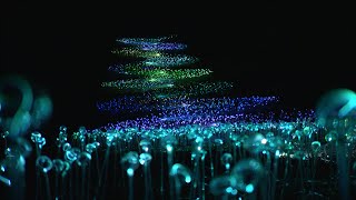 Bruce Munro - Light at Waddesdon 2013