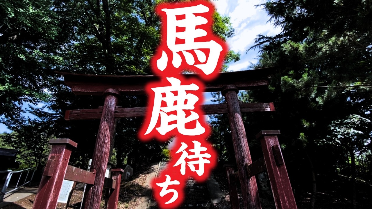 茨城県の蛟蝄神社…夜に行われる謎の神事とは？