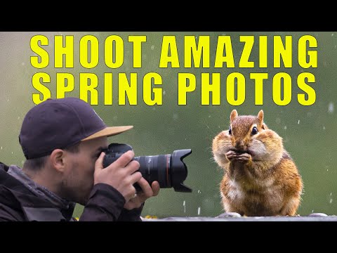 Tips for AMAZING