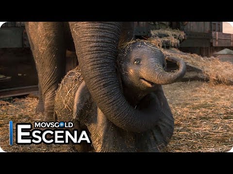 Dumbo (2019) El Nacimiento de Dumbo (Español Latino)