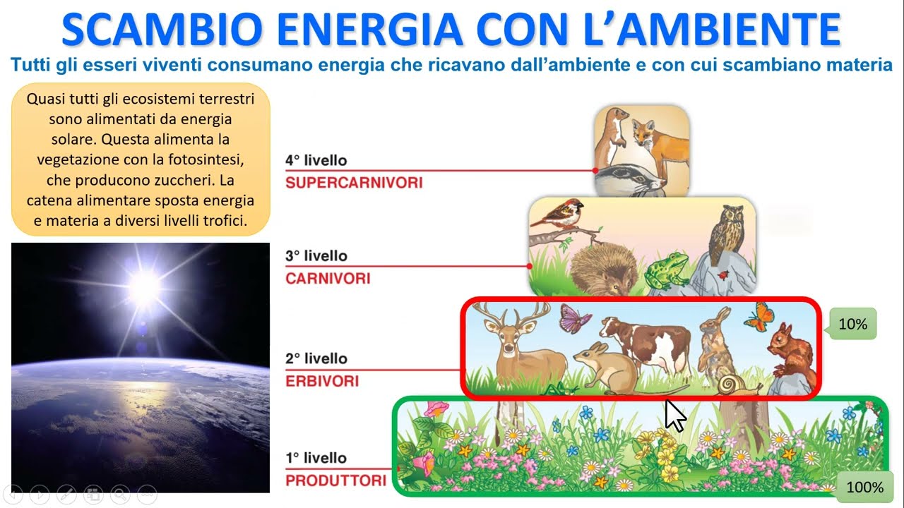 SCAMBIO ENERGETICO DELLA VITA CON L'AMBIENTE, image size:1280x720