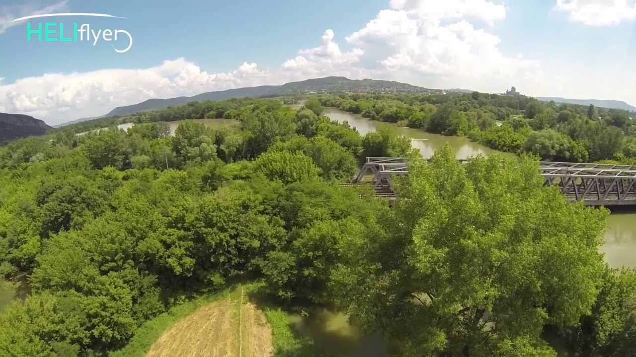 Trex 450 PRO V2 DFC & Gopro Hero 3 Black Best Shots