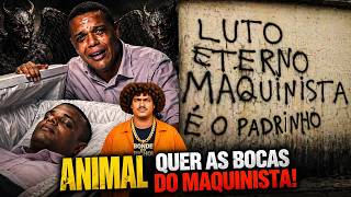 assista vídeos: ANIMAL caminha CONTRA TUBE, e 'KATIARA' em SIMOES FILHO!