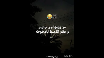 العنكبوت النونو 