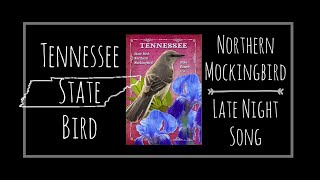 Tennessee State Bird - Mockingbird Late Night Serenade Tennessee State Mockingbird