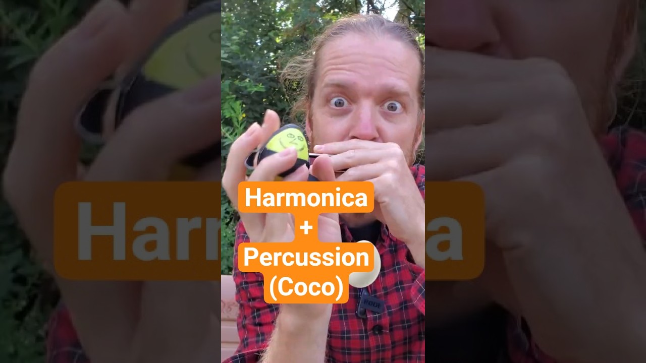 Jouer de l'Harmonica avec une percussion 🥚