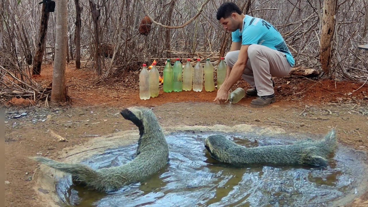 ÁGUA NO SERTÃO É VIDA...