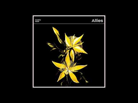 Cedric Noel — Cedric Noel - Allies (Official Audio)