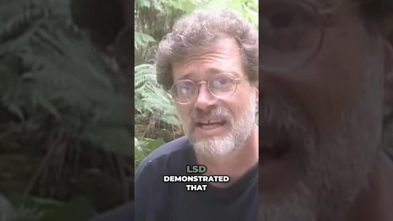 Unlocking Inner Wilderness: The Power of Psychedelics