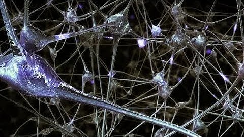 Network of Neurons and Synapses | Motion Graphics - Videohive template