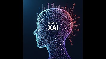 What Is Explainable AI (XAI)?