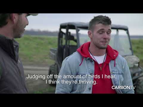 Heartlandia: Tony Vandemore - Fowl Habits I Premieres 12.7.17