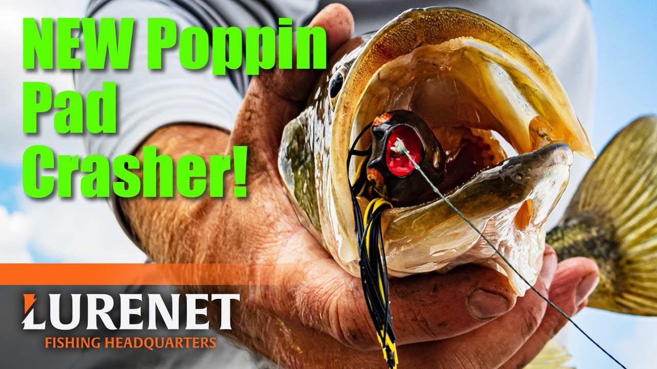 NEW Product Drop: BOOYAH Poppin' Pad Crasher Jr. - Top Picks and