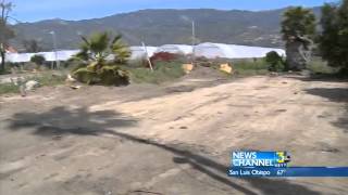 Carpinteria Squalor Housing