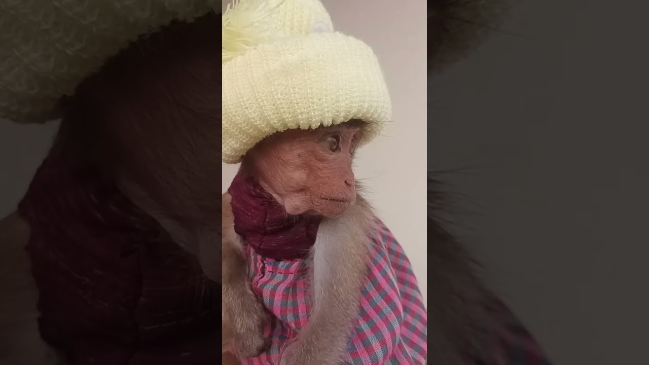 Cute Baby BOB and care him 