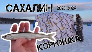 Первая корюшка! Открыли сезон подледной рыбалки 2023-2024!