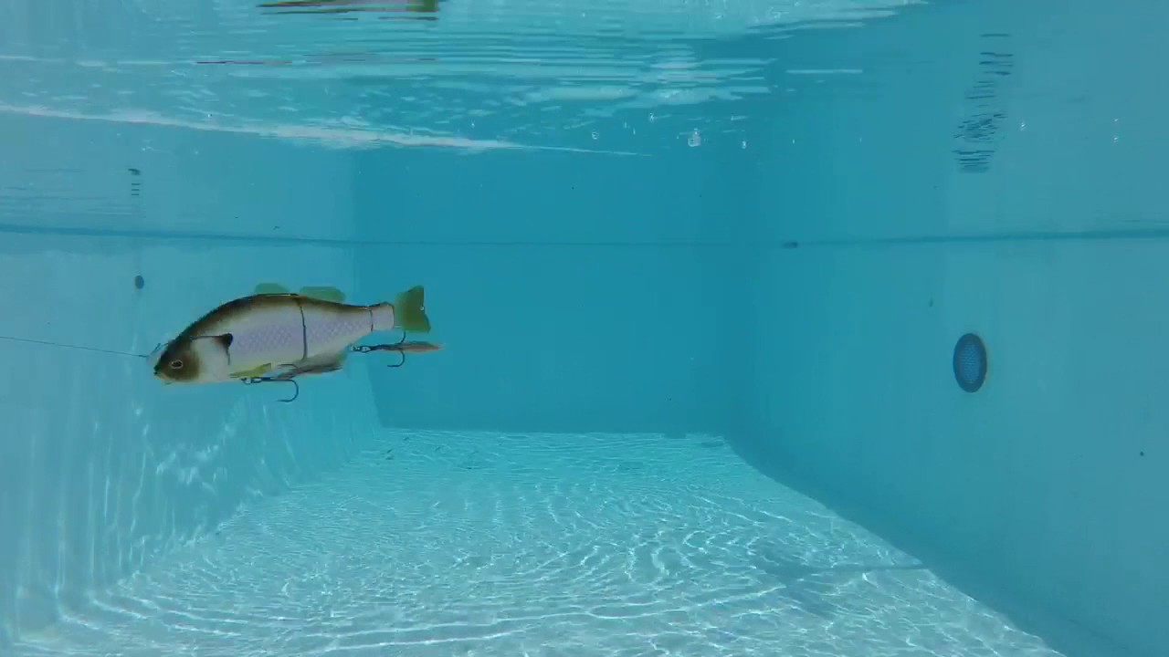 Jackall Gantarel Underwater SwimBait Review 