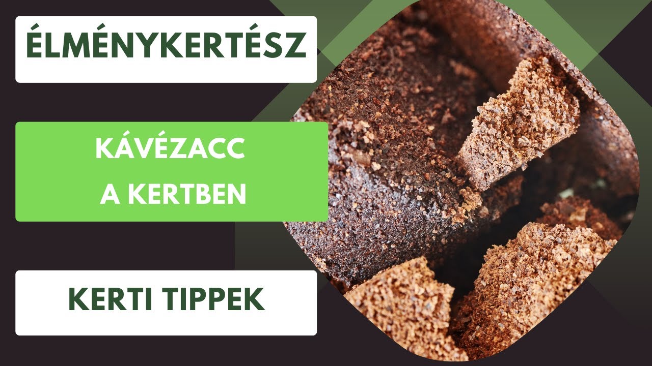 A kávézacc nem szemét!☕️ Fel lehet használni a kertben!😊