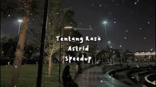 Tentang Rasa - Astrid ( Speed up tiktok version )