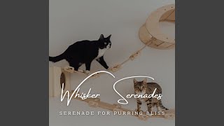 Melodic Cat Companionship
