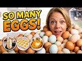 This Is Why Backyard Chicken Owners Can't Give Away Eggs Fast Enough!