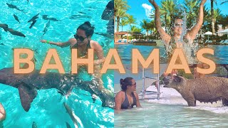 Swimming with Pigs & Sharks, Speedboat Ride, Pablo Escobar Sunken Drug Plane, Bahamas vlog.  Ep. 47