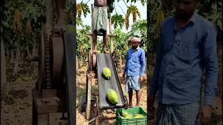 Untitled #ai 🍐 #avengers #bangla