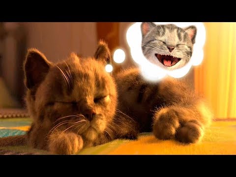 Мультфильм котенок с бантиком