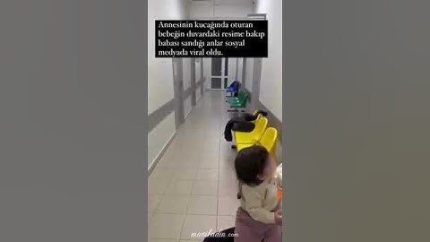 Pandayı Babası Zanneden Bebek Viral Oldu!-Müyendiz