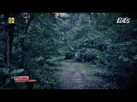 Elies HD - Ident stacji, reklamy i zapowiedź (19.07.2026r.)